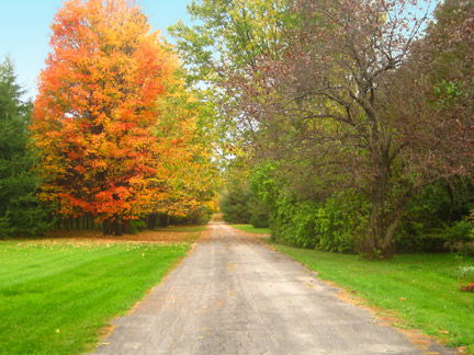 Farm Laneway