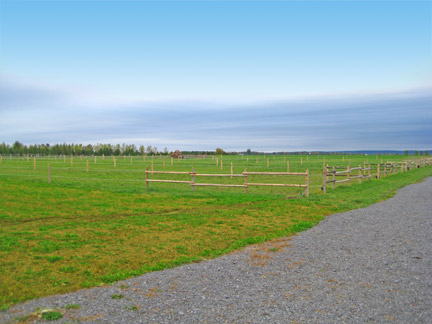 Horse Paddocks
